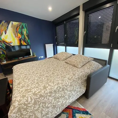 Duplex Cosy Proche Parlement Europeen Et Strasbourg שילטיגהיים
