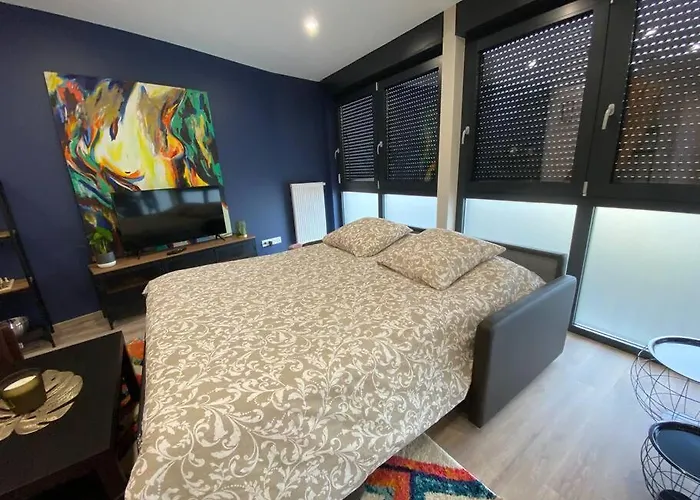 Duplex By Aurelle 2 Schiltigheim