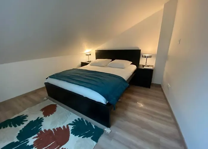 Duplex Cosy Proche Parlement Europeen Et Strasbourg Διαμέρισμα Schiltigheim