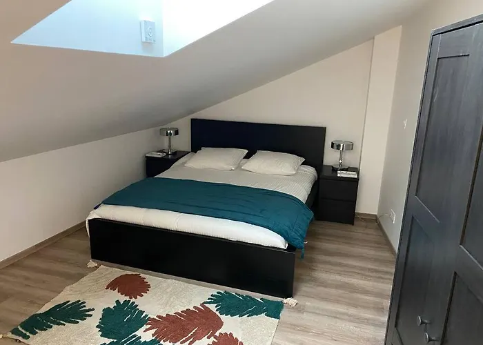 Duplex Cosy Proche Parlement Europeen Et Strasbourg *
