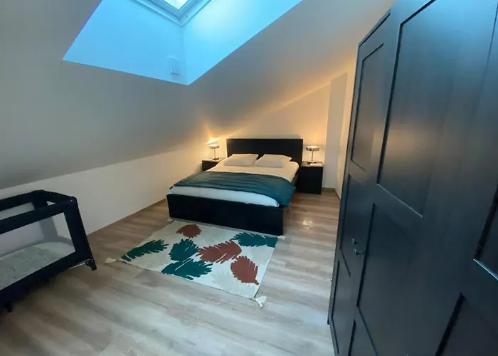 Διαμέρισμα Duplex Cosy Proche Parlement Europeen Et Strasbourg Schiltigheim