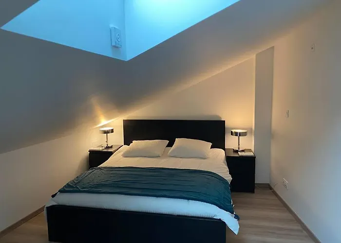 Duplex Cosy Proche Parlement Europeen Et Strasbourg Διαμέρισμα *