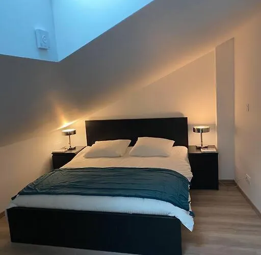 Duplex Cosy Proche Parlement Europeen Et Strasbourg Διαμέρισμα Schiltigheim